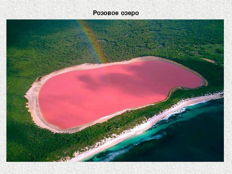 Розовое озеро